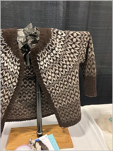 Char Gaschos cardigan which won Fiber Arts Reserve Champion. Photo: Lucy Kingsley.